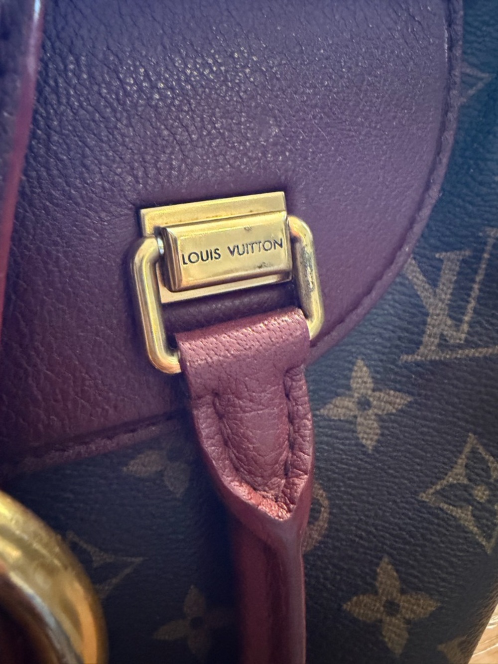 Louis Vuitton Bordeaux Golden Arrow View 5